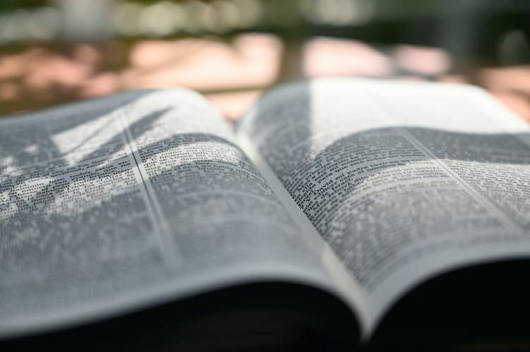 Bibelstudium: Uthållighet i godhet