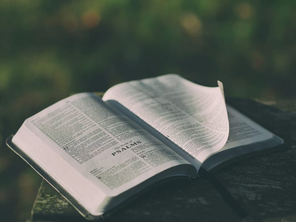 Bibelstudium: Vakande, Ståndaktig, Stark